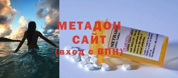 индика Арсеньев