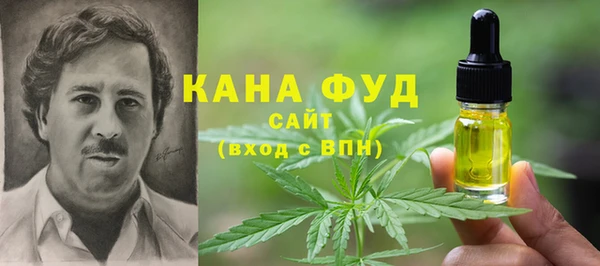 индика Арсеньев