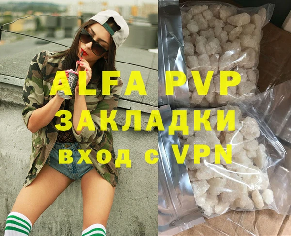 индика Арсеньев