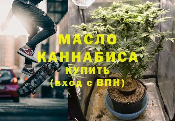 индика Арсеньев