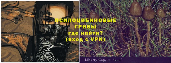 индика Арсеньев
