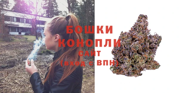прущая мука Бикин