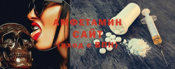 индика Арсеньев
