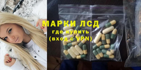 индика Арсеньев