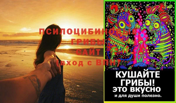 индика Арсеньев