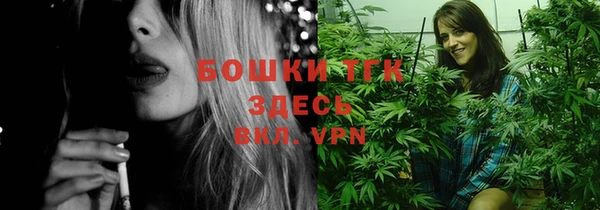 индика Арсеньев