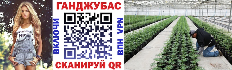 цены наркотик  Всеволожск  kraken маркетплейс  Каннабис SATIVA & INDICA 